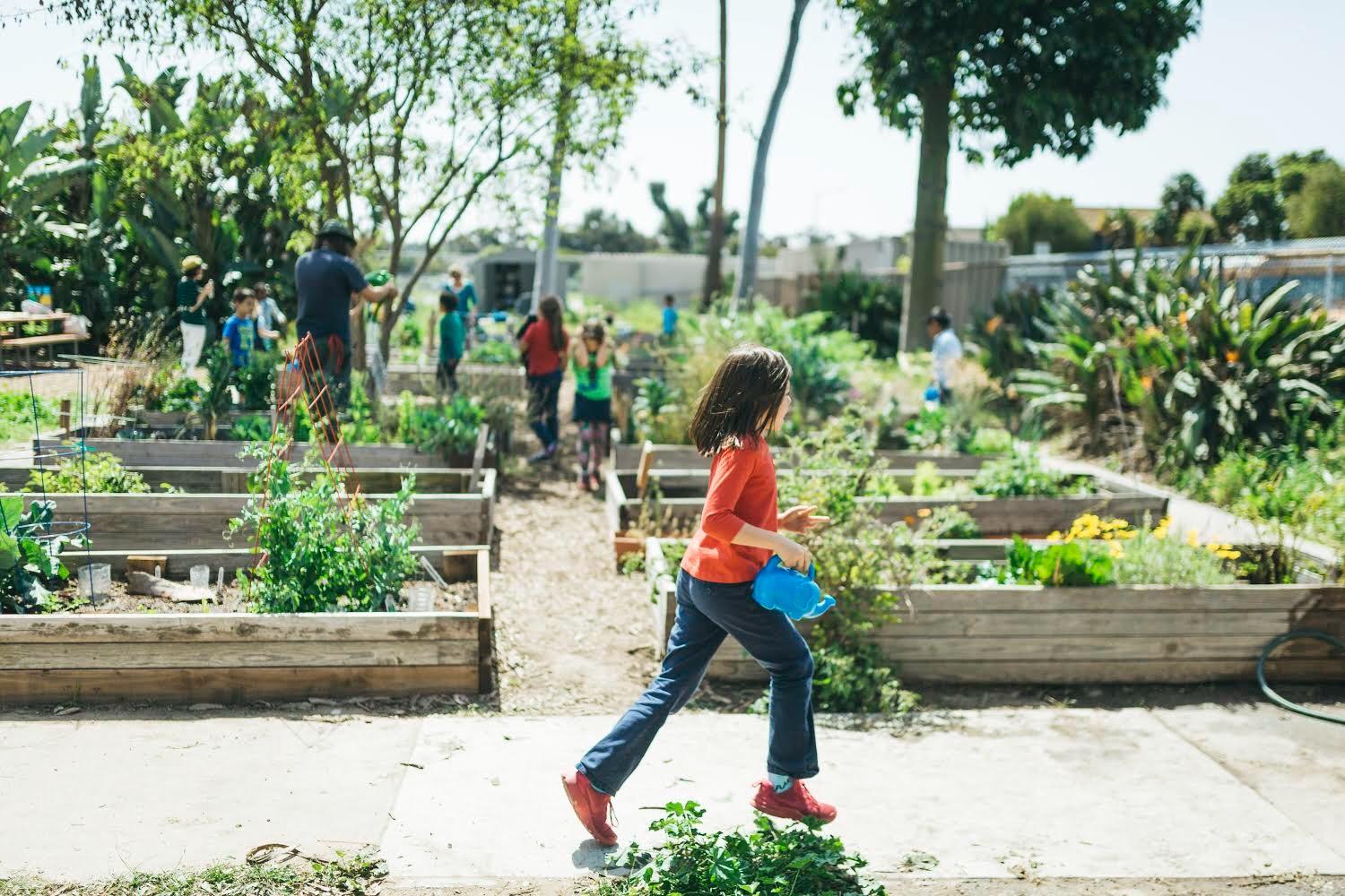 Garden Classes – Academics – Goethe International Charter School
