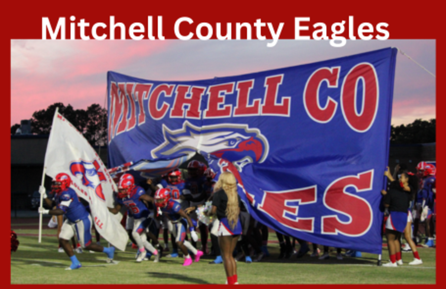 MCHS Eagles