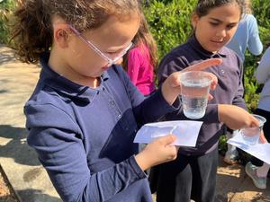 light refraction