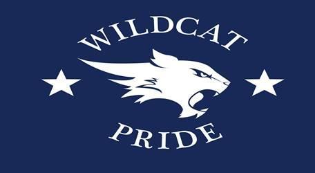 Wild cat logo