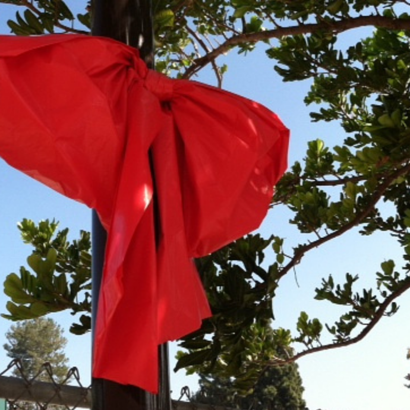 Red Ribbon Week Featured Photo
