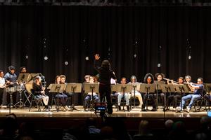 Turtle Creek concert band performs on stage