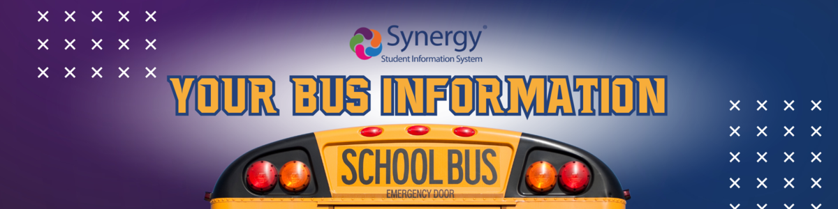 Synergy bus info