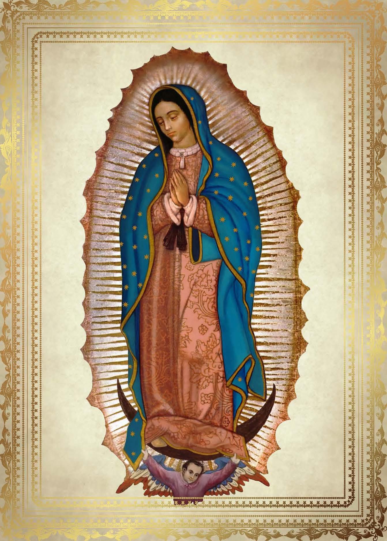 Advent Spotlight Our Lady Of Guadalupe Carmel Catholic High School Advent Spotlight Our Lady Of Guadalupe Carmel Catholic High School