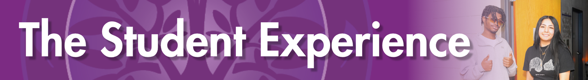 The Student Experience Title Heading