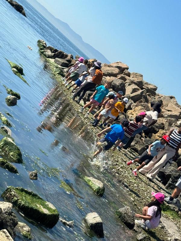 Crab Cove