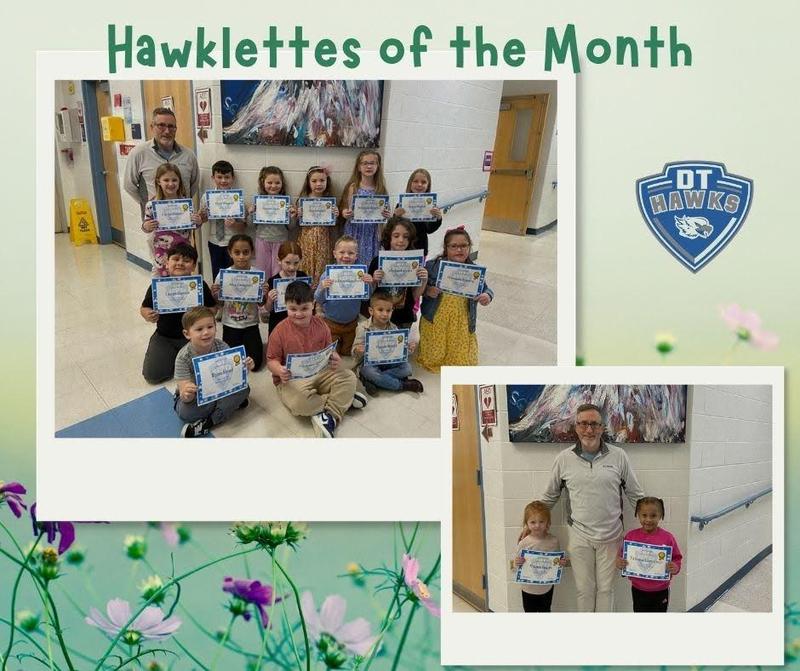 Hawklettes of the Month