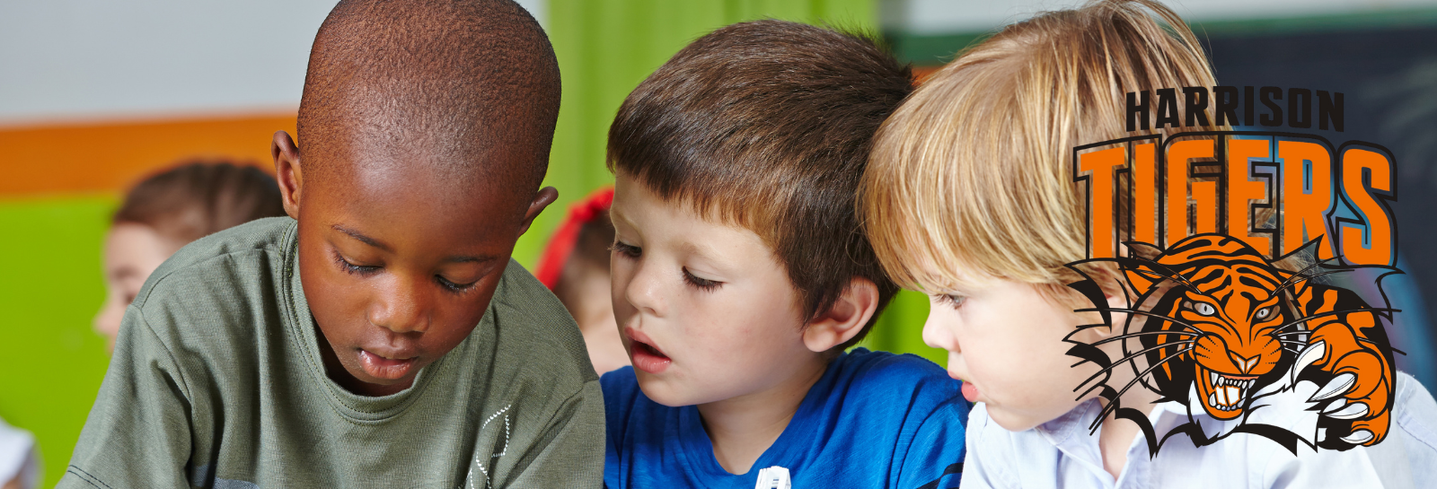 Harrison Shuffle banner for homepage