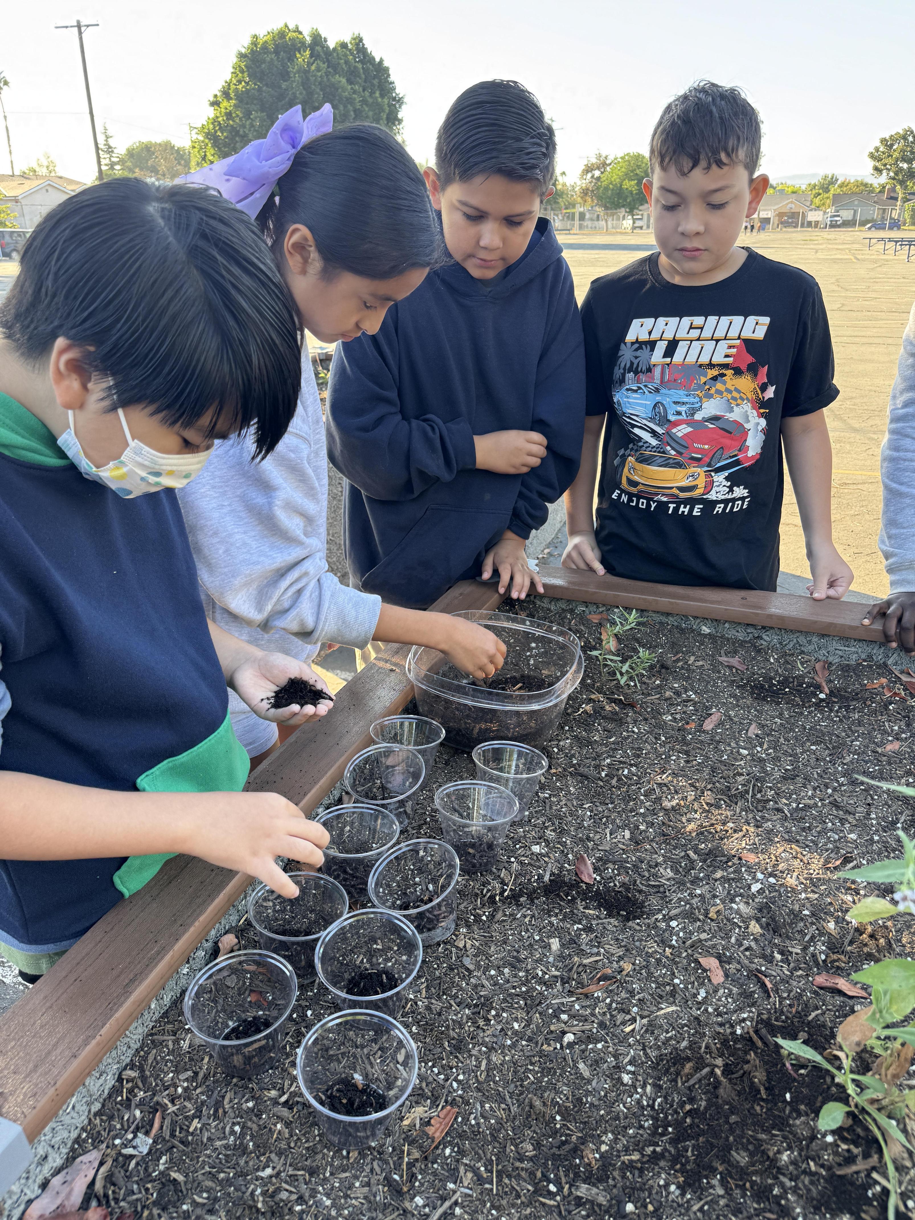 Students working on stewardship project