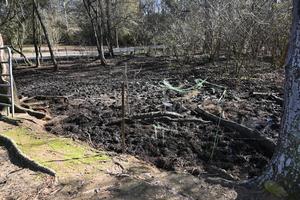 Pike County Sheriff’s Office Rescues Four Horses