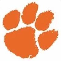 Orange panther paw image