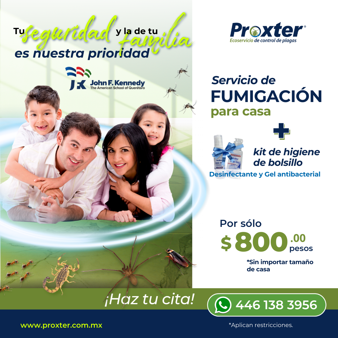 Proxter