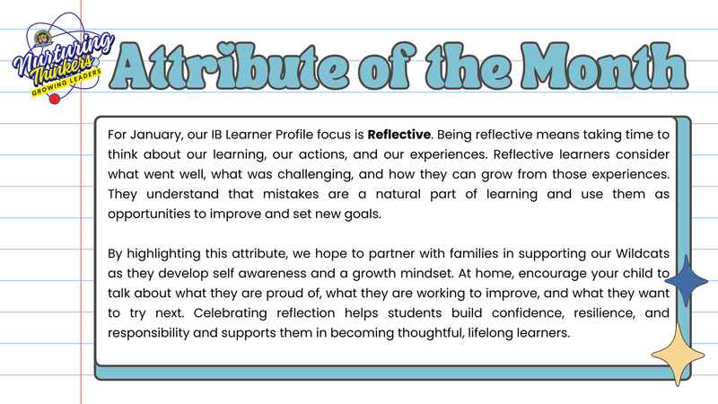 Attribute of the Month: Reflective