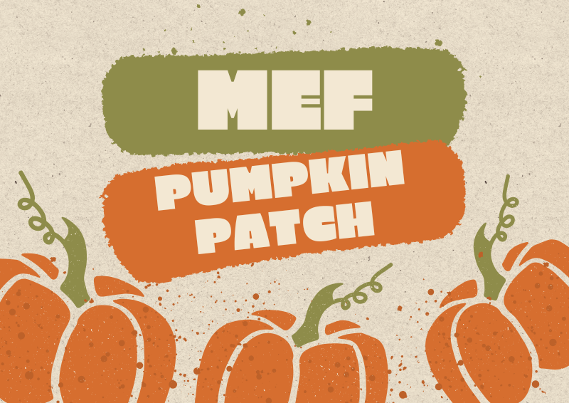 Pumpkin Patch Thumbnail Image