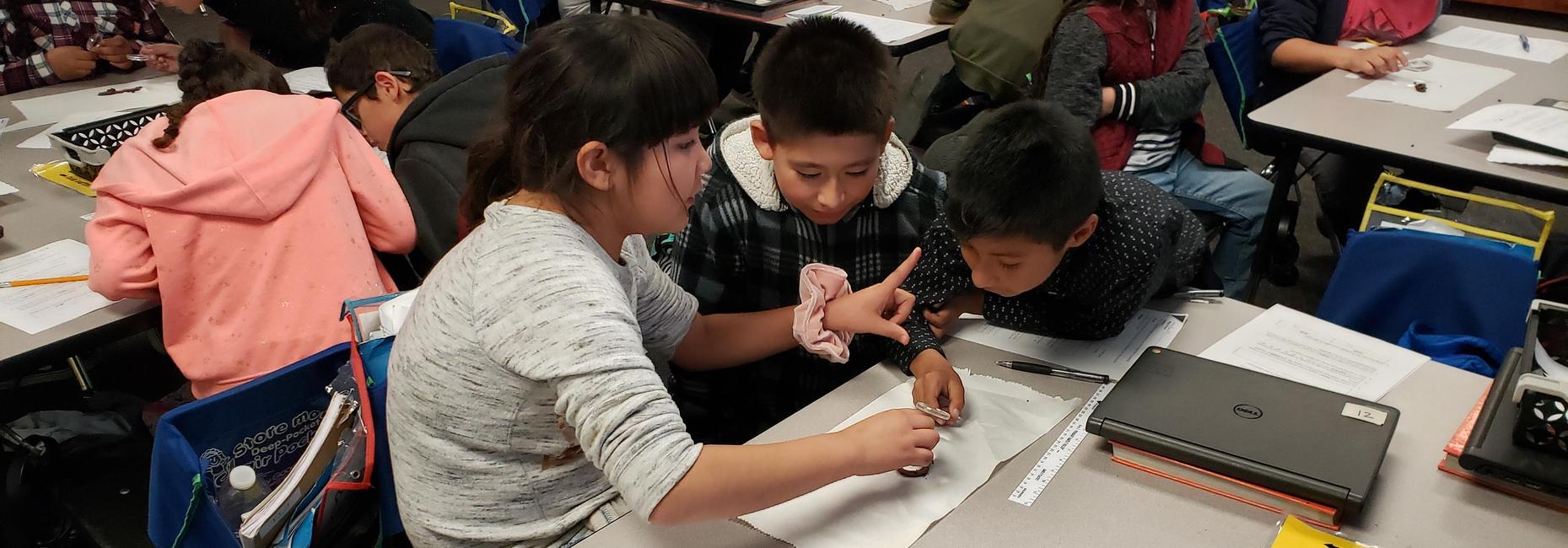 3rd Grade - Earthworm Project