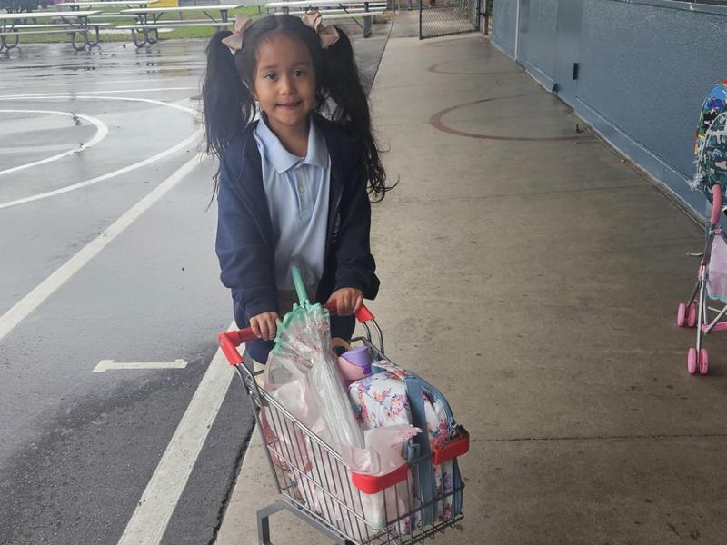 Young girl with pigtails pushing a shopping cart filled with school supplies.