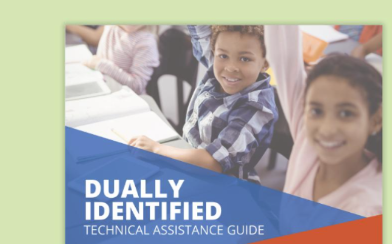 Dually Identified Technical Assistance Guide