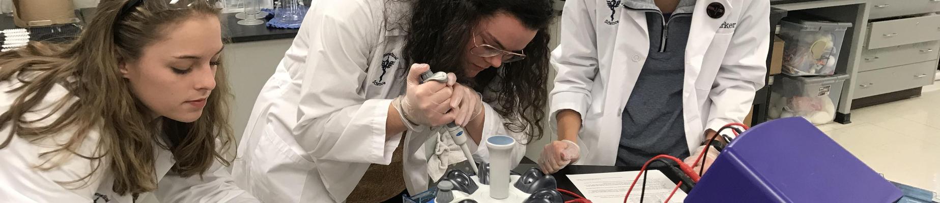 Biomedical Sciences
