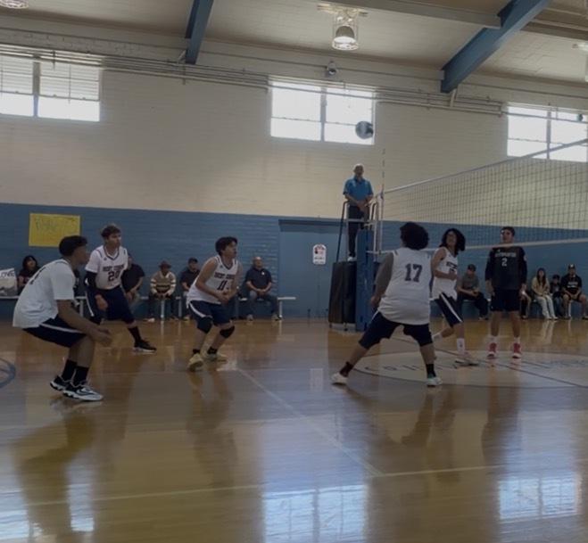 Boys volleyball in playoffs