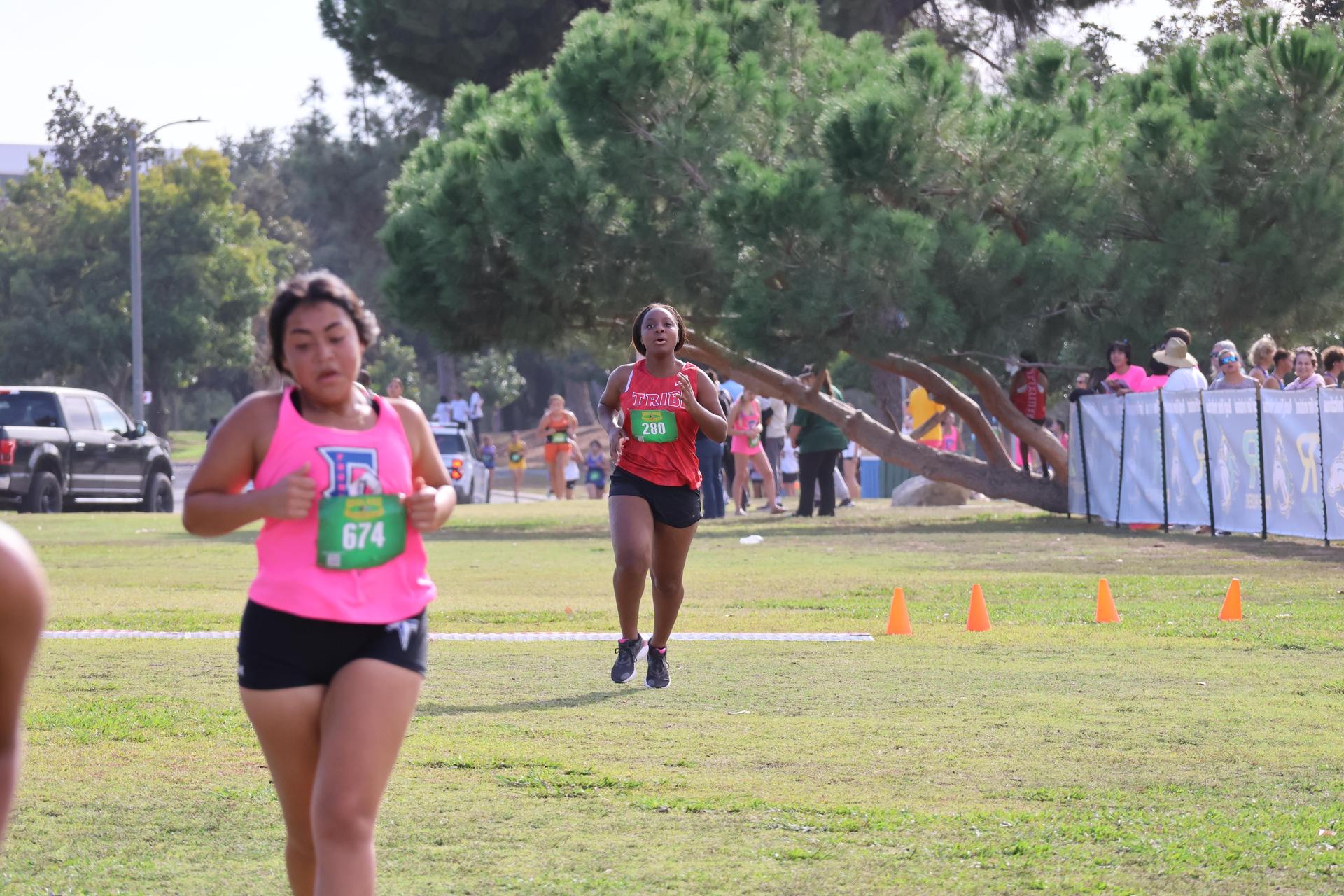 cross country runners in action