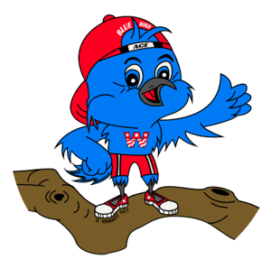 Ace Bluebird