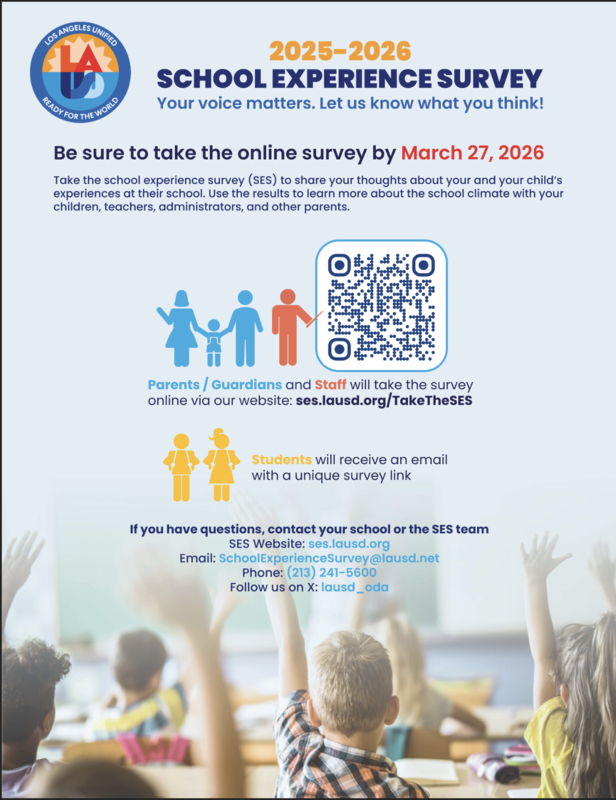 school experience survey flyer english