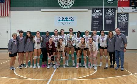 volleyball picture