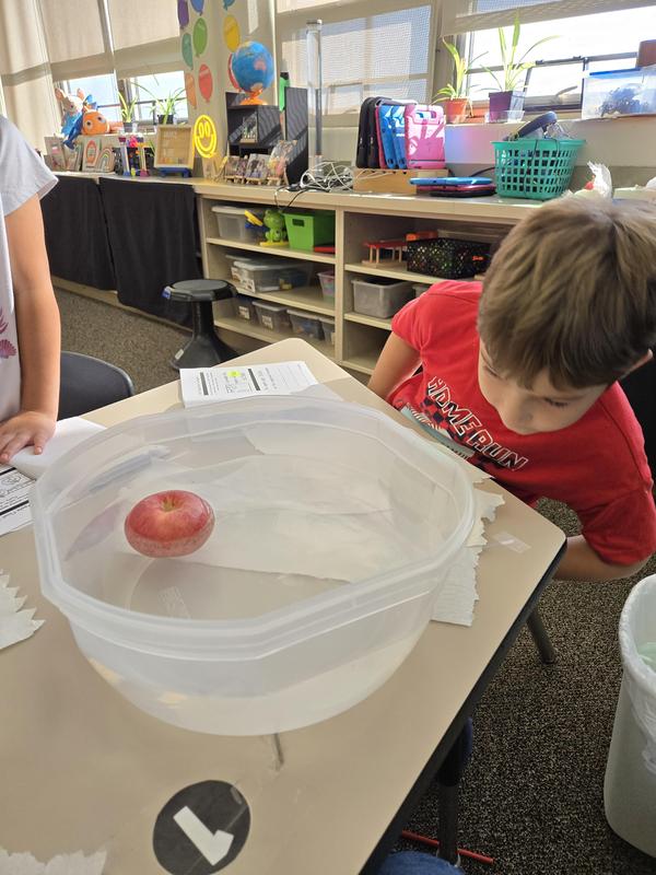 Students help find the prized apple