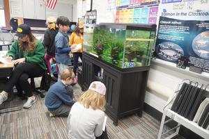 Students gather around the fish tank to make their observations.