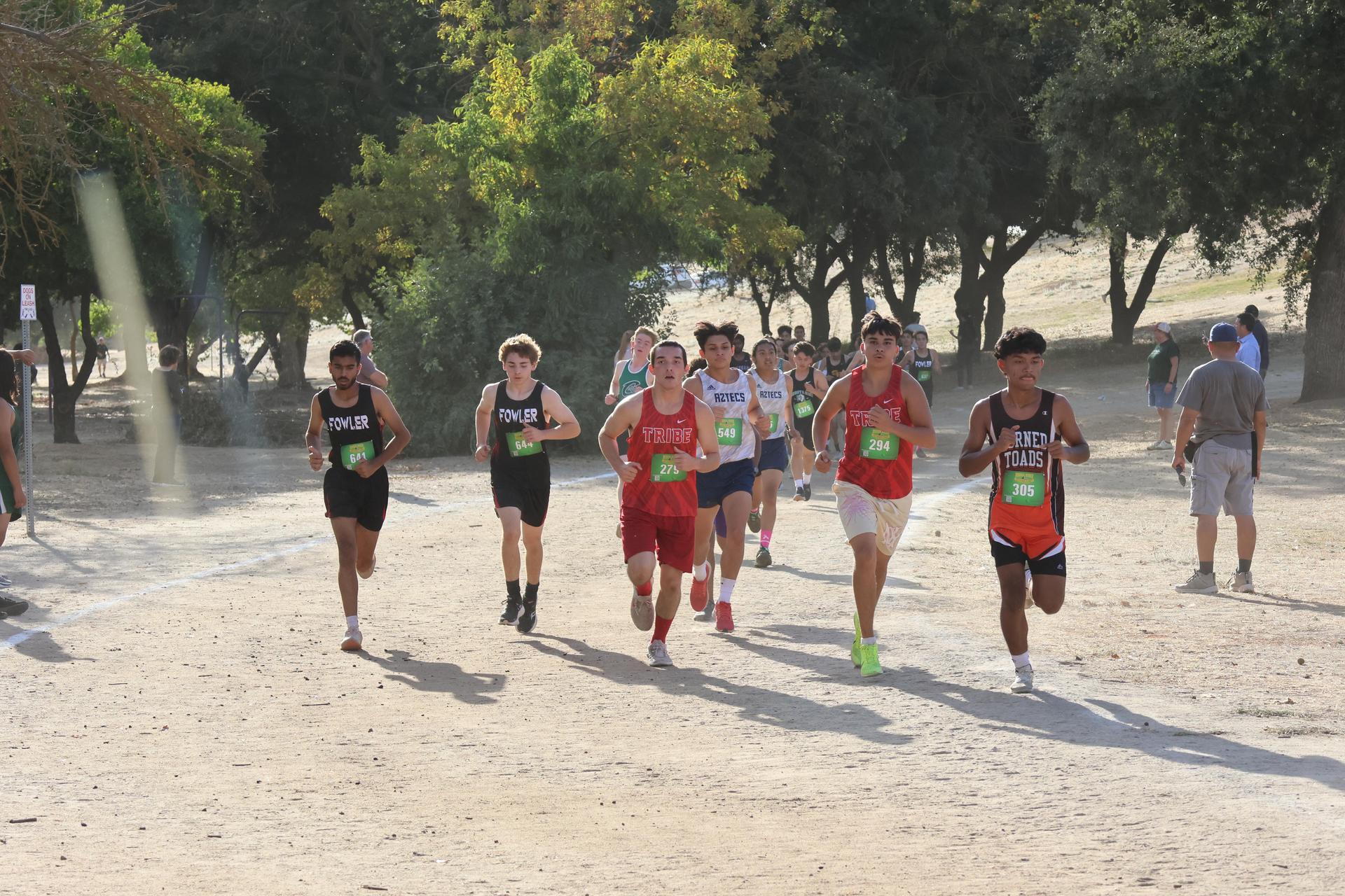 cross country runners in action