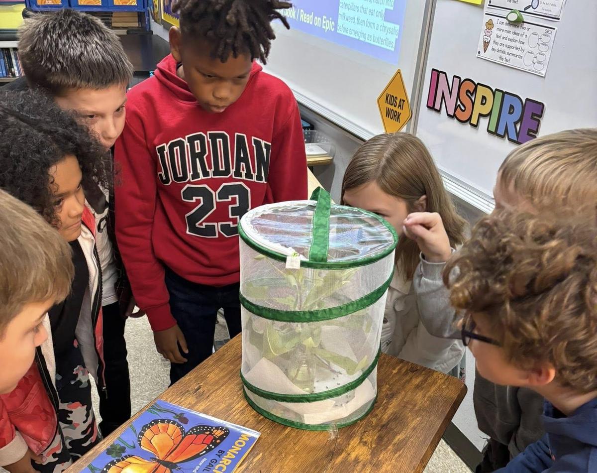 photo - Justice Intermediate School students examine a butterfly enclosure