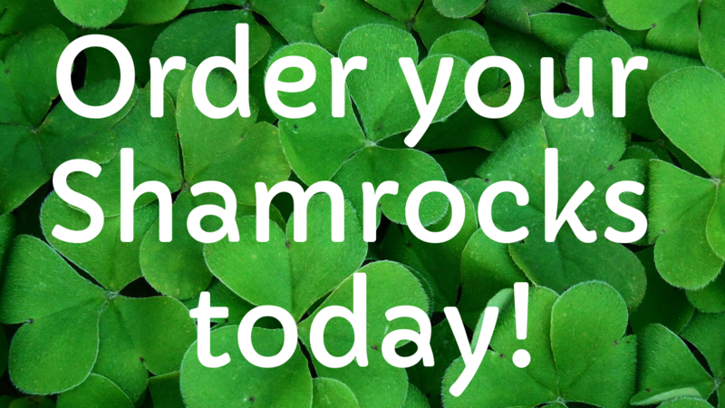 Order your shamrocks today