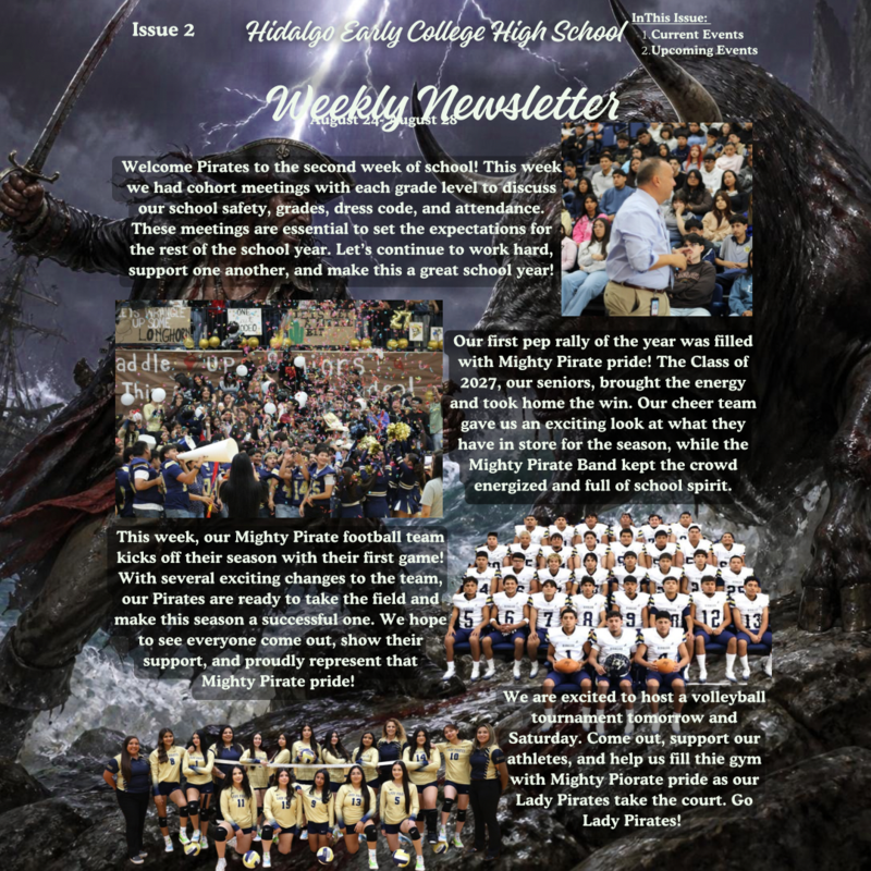 Newsletter 2
