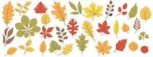 Autum Leaves