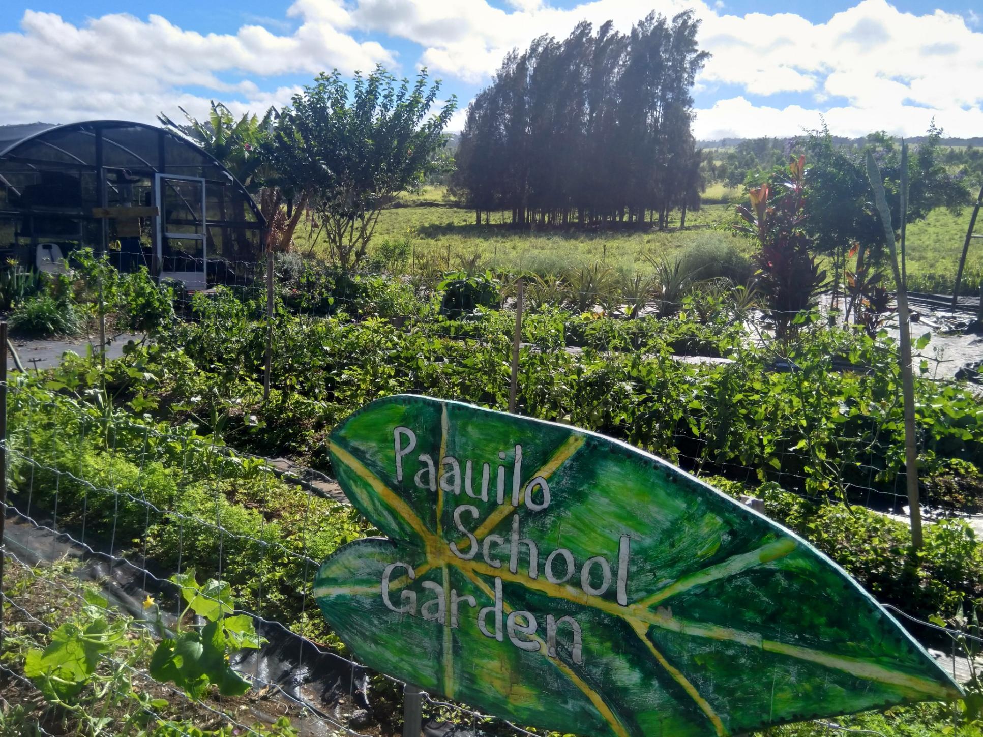 How's the Garden Growing? Pa'auilo Elementary & Intermediate School