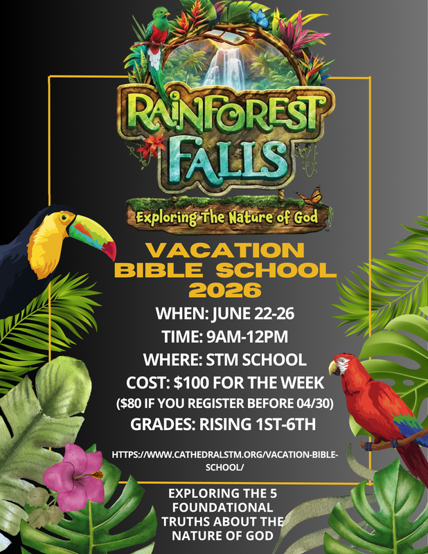 2026 VBS Flyer.png