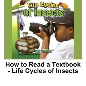 How To Read A Textbook - The Life Cycle of Insects