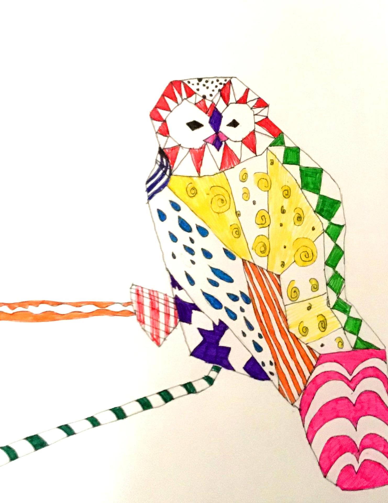 colorful owl