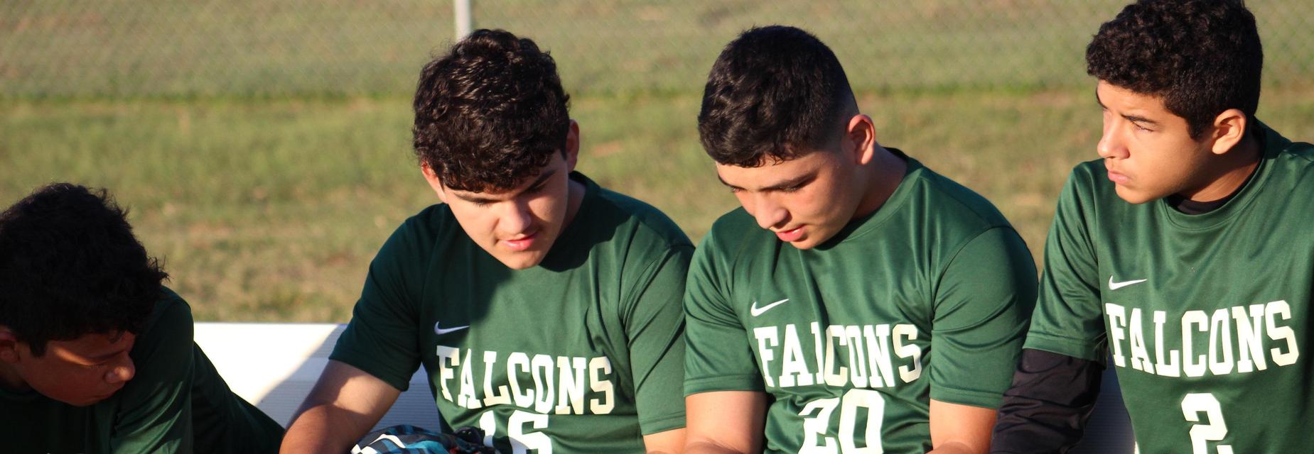Falcon soccer