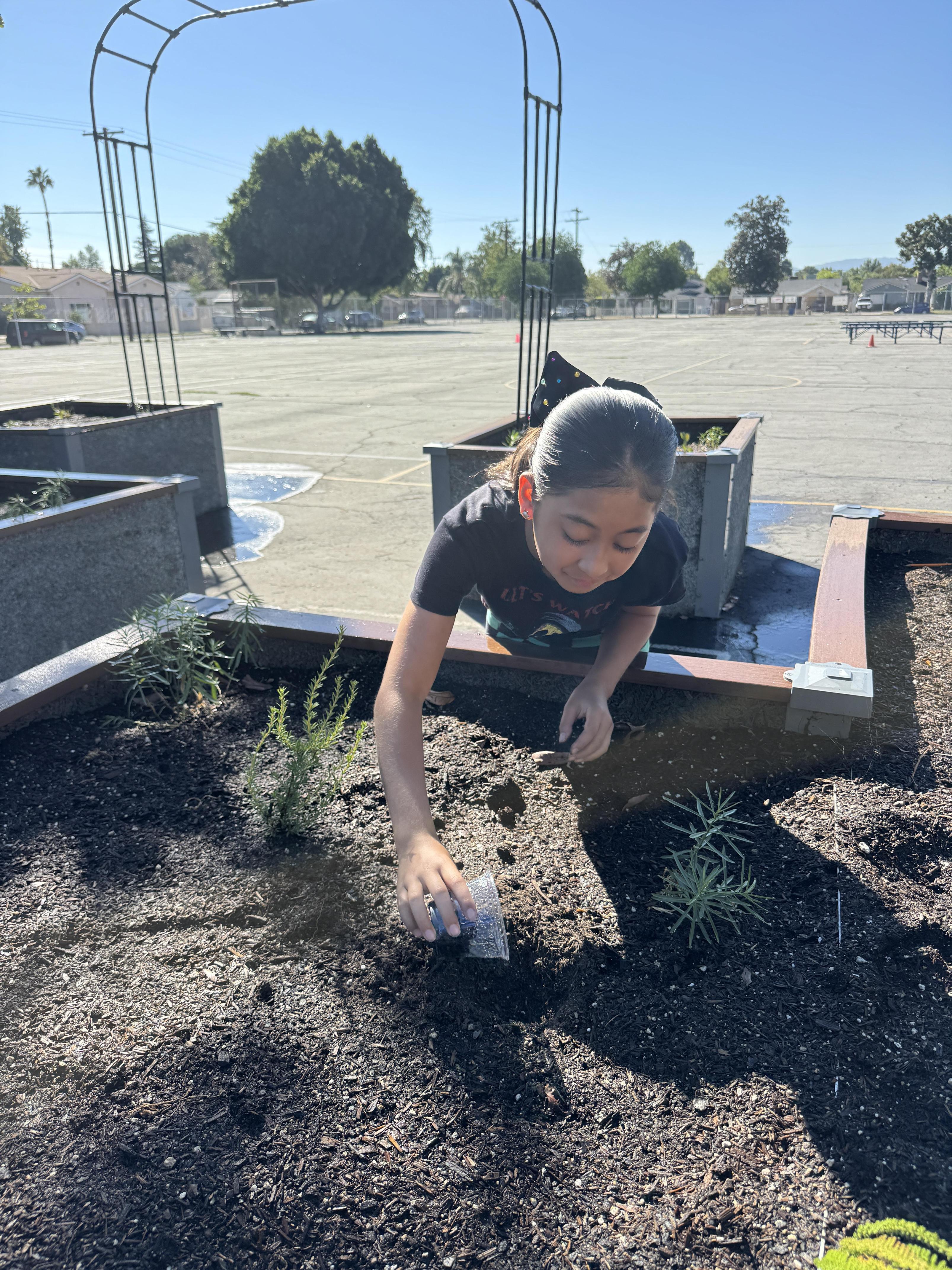 Students working on stewardship project