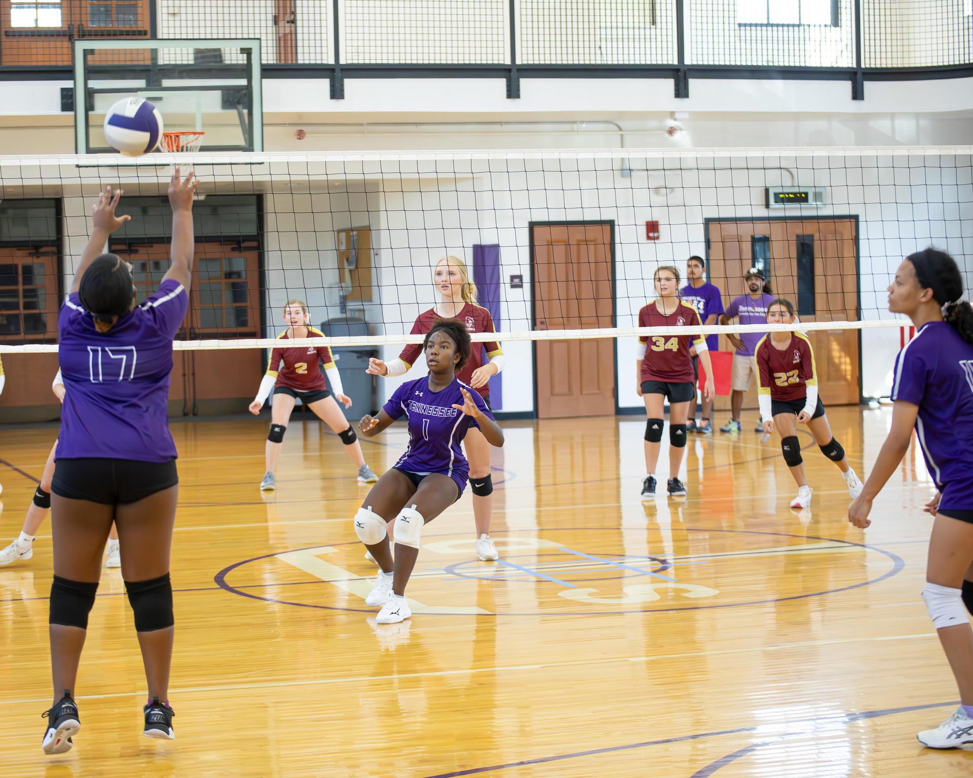 Players in purple and gold uniforms engage in a volleyball game on a court.
