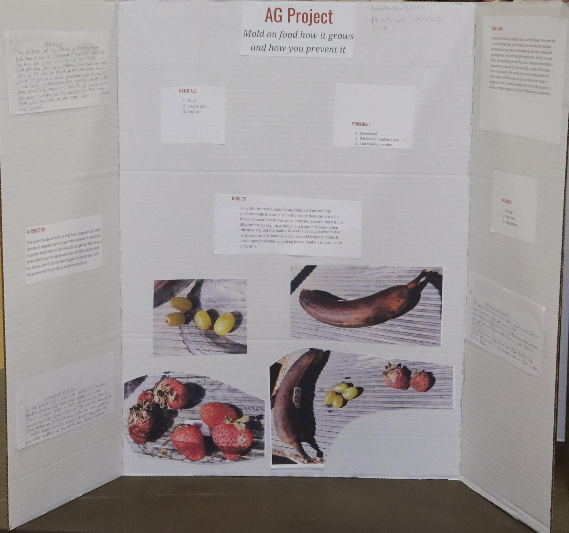 A Supervised Agricultural Experience trifold display