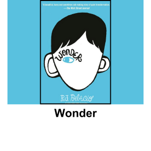 Wonder