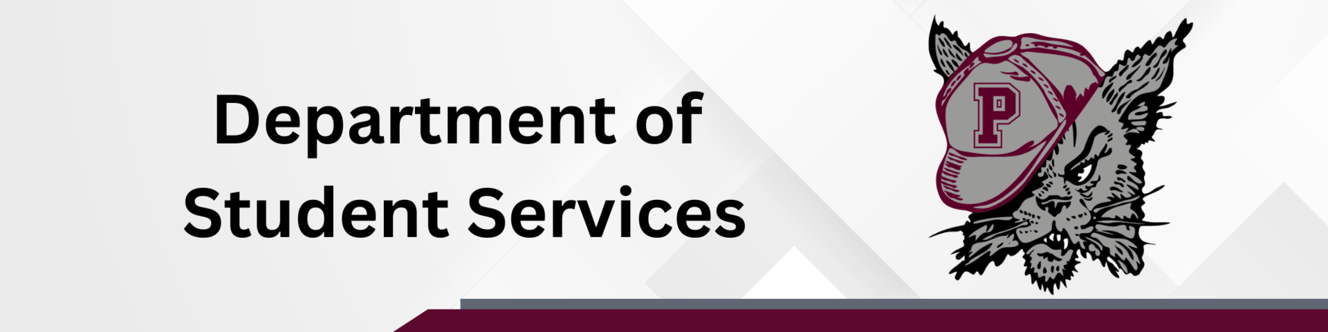 special services