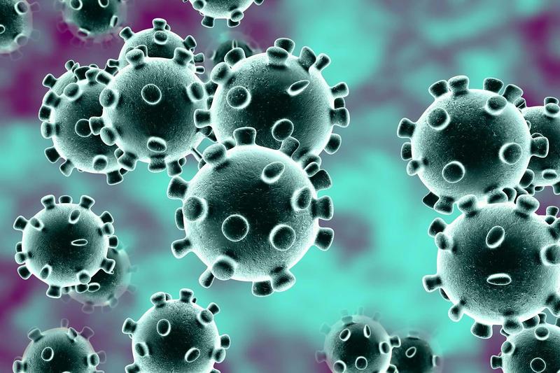 Prevention of Coronavirus Disease Featured Photo