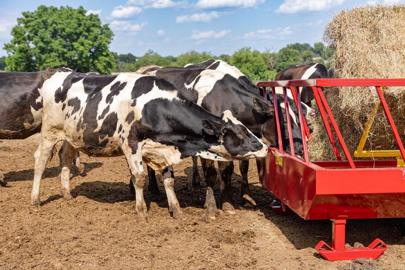 Large Animal Equipment needed