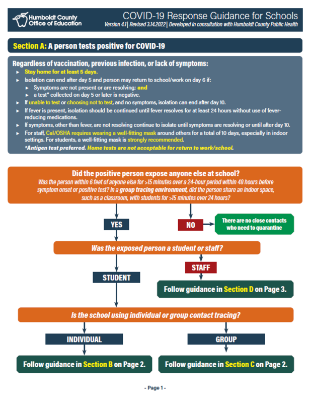 Response to a Positive COVID Test in School