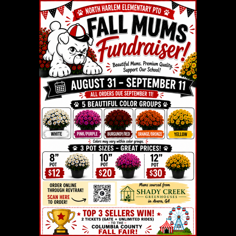 Fall Mum Sale