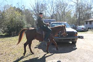 Pike County Sheriff’s Office Rescues Four Horses