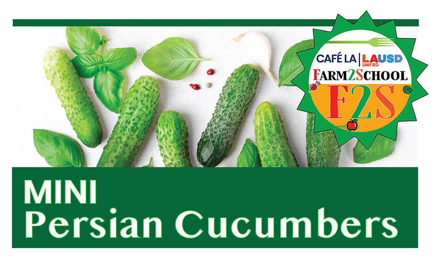 mini persian cucumbers